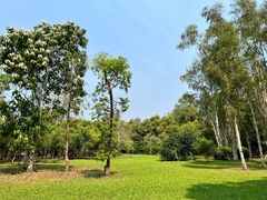 -拾光音乐餐酒吧(告庄星光夜市店)