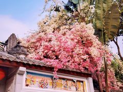 -深圳国际园林花卉博览园