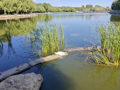 -长春世界雕塑园冰雪艺术天地