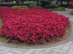 -怡心阁·水疗SPA(天府广场店)