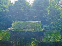 -青城山