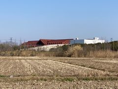 -广富林郊野公园