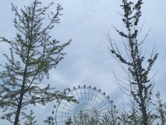 -琴岛之星摩天轮