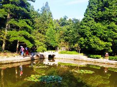 -庐山风景区花径公园