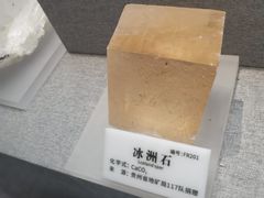 -贵州省地质博物馆