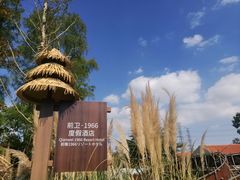 -上海长兴岛郊野公园