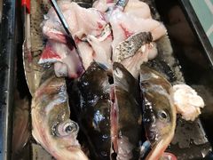 -大拿渔火锅(万豪白领富贵西园店)