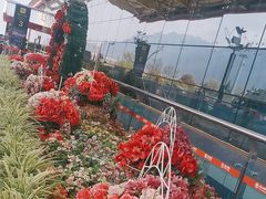 -丽江三义国际机场