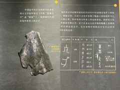 -西安碑林博物馆