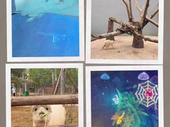 -福州罗源湾海洋世界旅游区