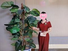 -MSV 高端礼服定制(大良店)