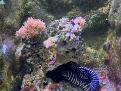 -杭州长乔极地海洋公园