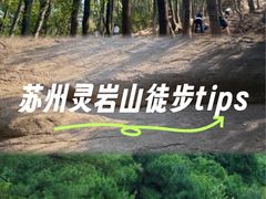 -灵岩山风景区