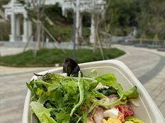 -梧桐山风景名胜区