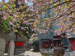 -罔极寺