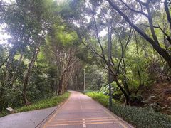 -鹅滋道(甘坑古镇店)