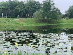 -眉山湿地公园(东坡区)