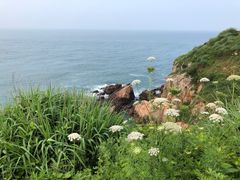 -枸杞岛