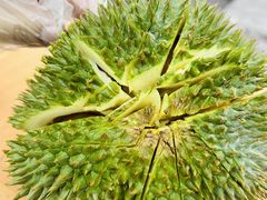 -芽笼