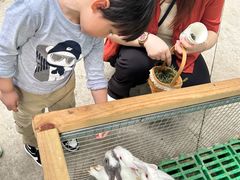 -史努比缤纷世界