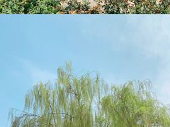 -西安青龙寺遗址景区