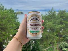 -老淳安—伴山伴湖(千岛湖开元度假村店)