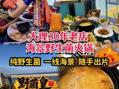 -野菌皇海景野生菌火锅(滨海大道店)