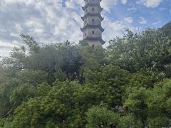 -江心屿景区