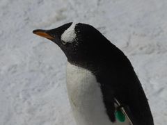 -大连老虎滩海洋公园