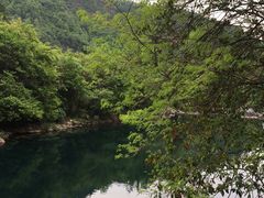 -石台牯牛降景区