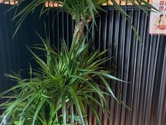-大拙里·精致融合菜(沙湖桃源国际店)