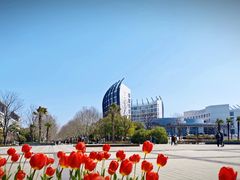 -东华大学(松江校区)