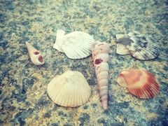 -黄金海岸环岛路