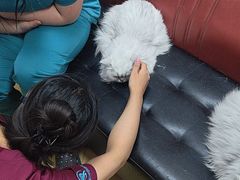 -瑞派天宁宠物医院·猫科·异宠中心