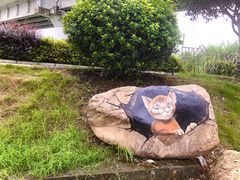 -枫林花海