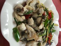 -洞背山庄(洞背院区式管理小区店)