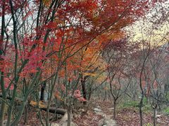 -崂山巨峰游览区