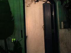 -Sirena海妖日咖夜酒