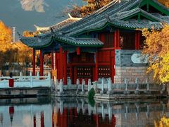 -科道动物医院·急重症中心(万达院)