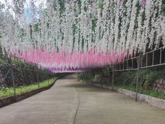 -北京十三陵国家森林公园蟒山景区