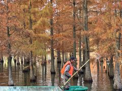 -白鹭湾湿地公园