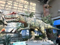 -国家自然博物馆