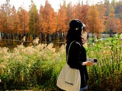 -白鹭湾湿地公园