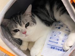 -美联众合动物医院·24h转诊中心