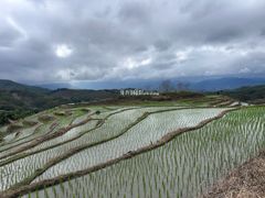 -牙胡梯田