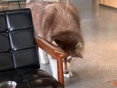 -山下C5cafe(惠通时代广场店)