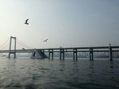 -星海湾跨海大桥