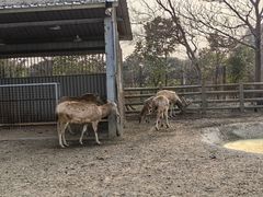 -苏州太湖西山岛开心农场