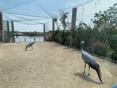 -盐城丹顶鹤湿地生态旅游区