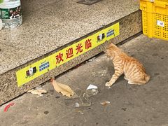 -国英炖品店(甲子路店)